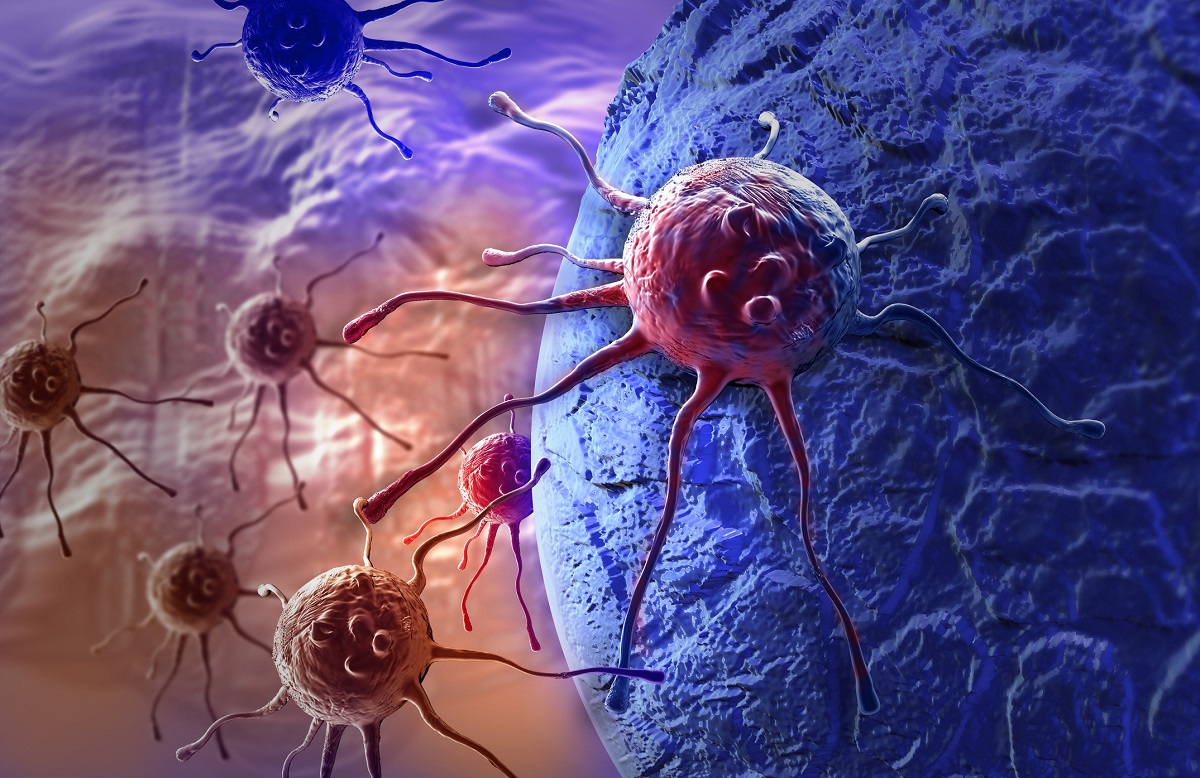 Natürliche Killerzellen zur Unterstützung der Krebsabwehr