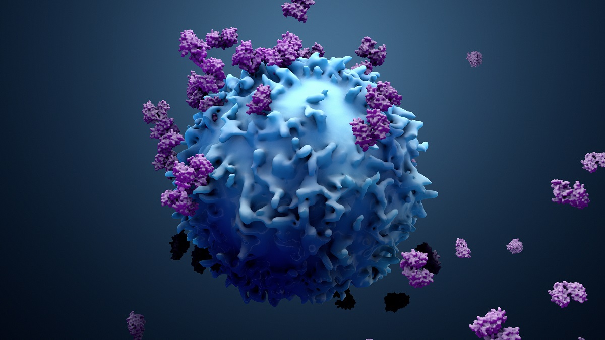 Veränderte T-Zellen zur Stärkung der Tumorabwehr