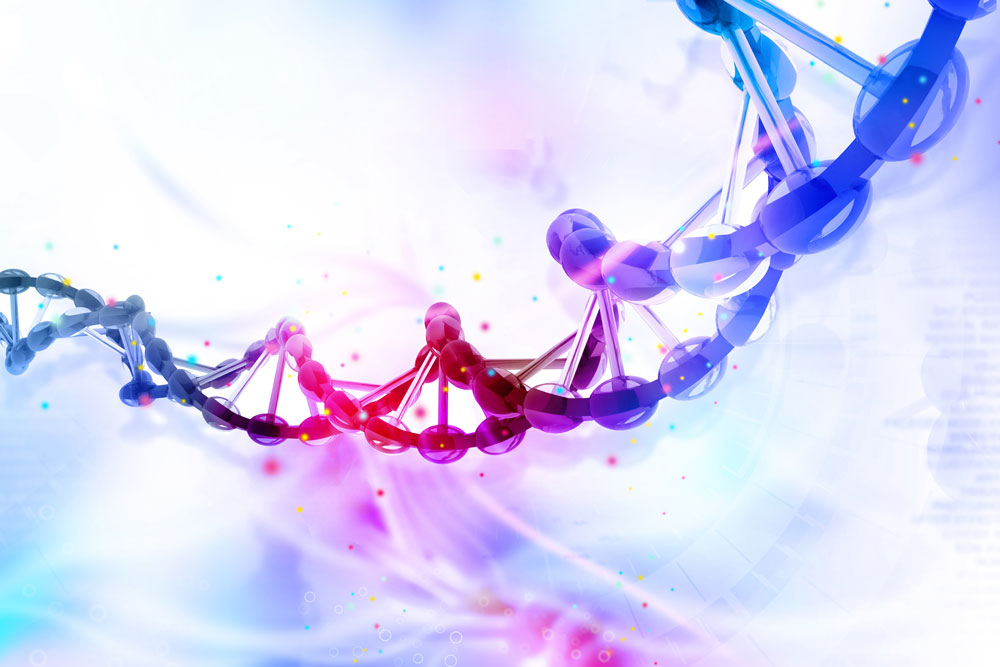 Funktion bestimmter Gen-Schalter untersucht