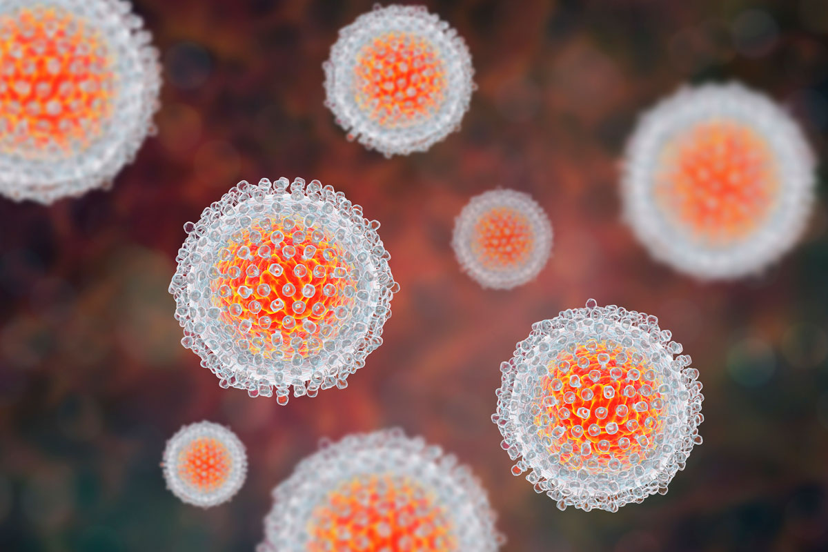 Geschädigte Immunzellen nach Hepatitis-C-Infektion