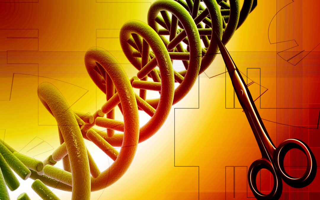 Enzymschere schneidet RNA und DNA