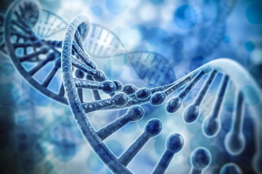 Eine DNA-Probe – Tausend kleine Tröpfchen