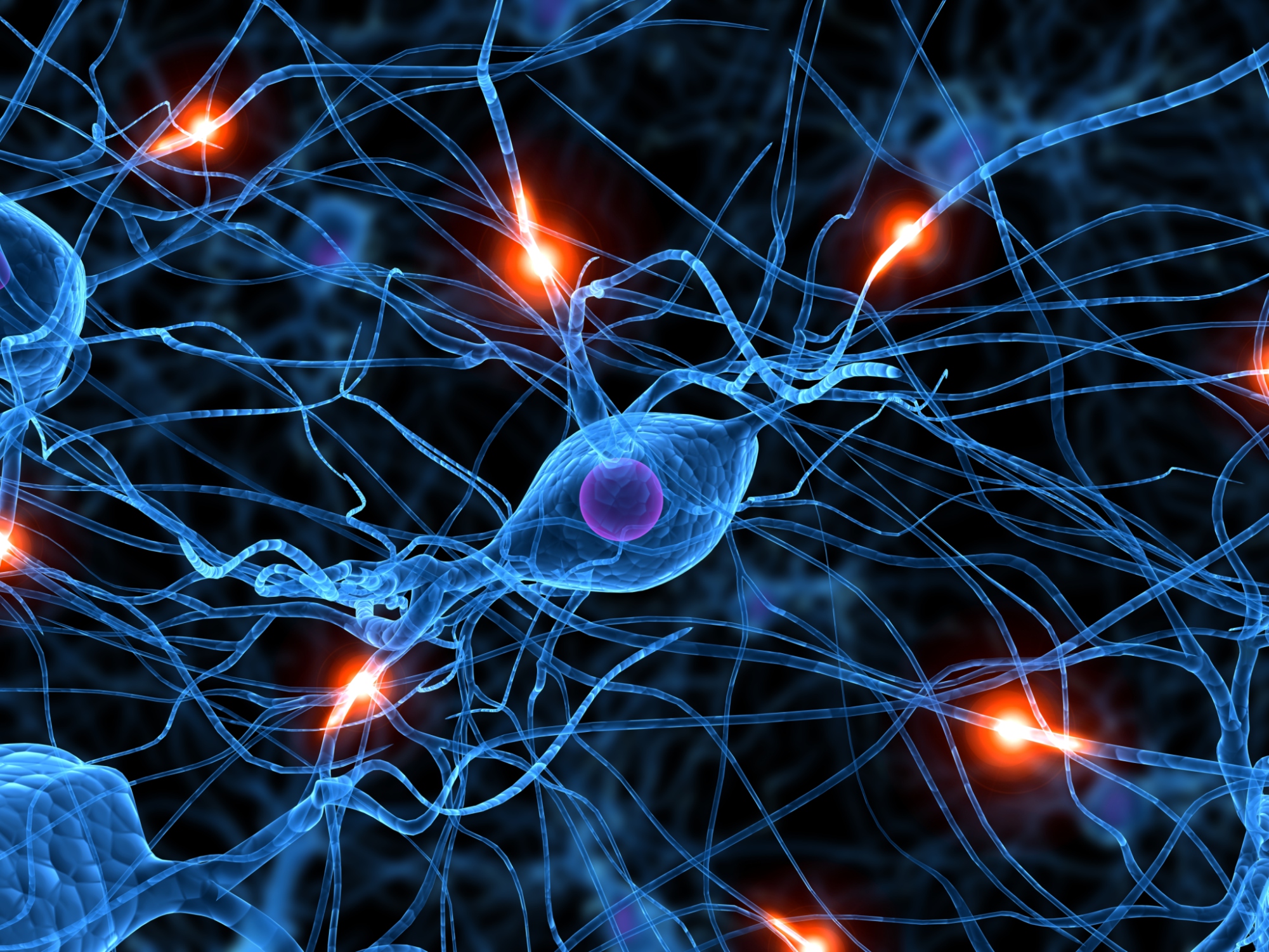 Aktivierte Nervenzellen produzieren ein Schutzprotein