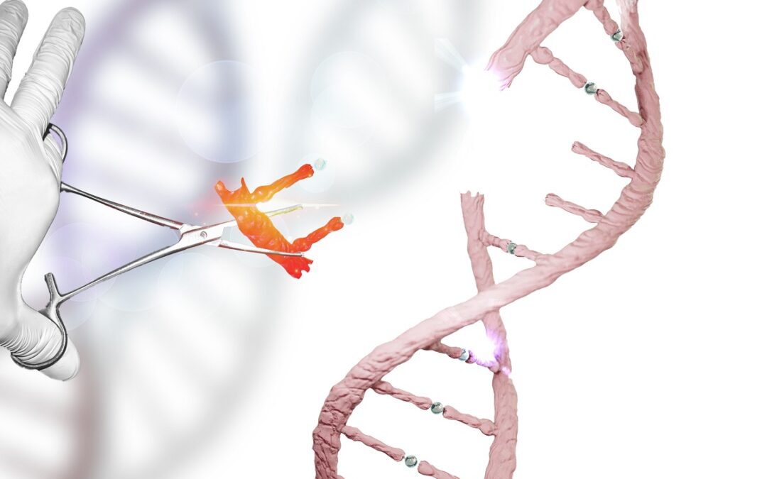 Nebenwirkungen der Genschere CRISPR-Cas9