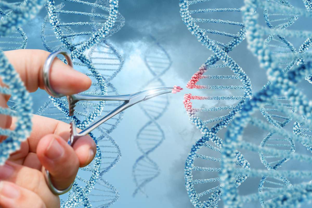 Die Genschere CRISPR-Cas9 und ihre Wirksamkeit