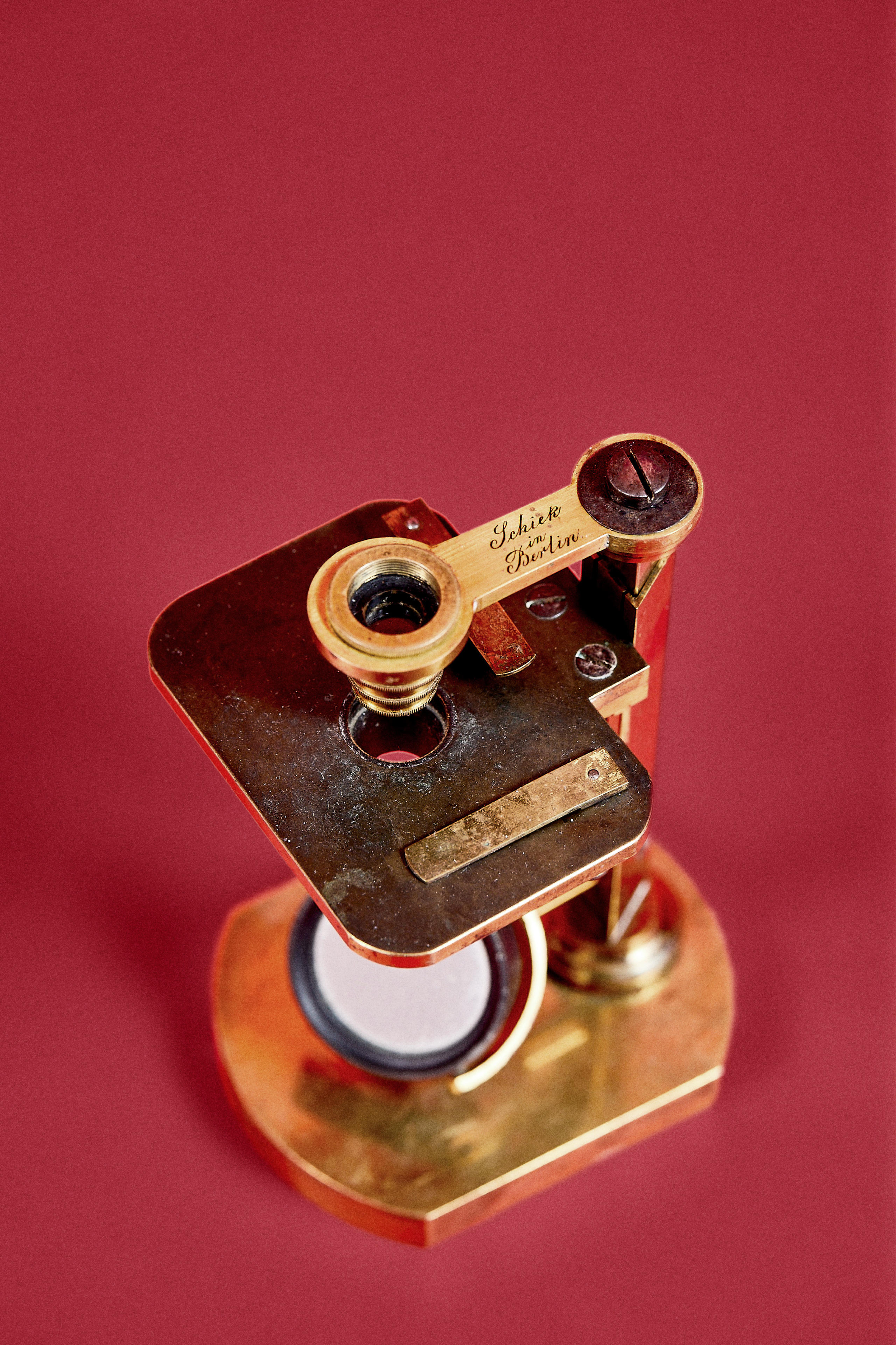 Mikroskop © Katharina Bohm / MDC
