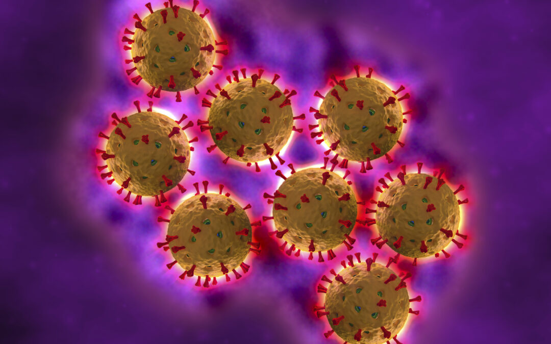 Gezielt gegen das Rotavirus