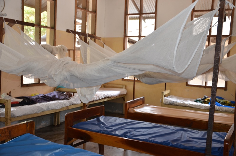 Neue Erkenntnisse über Malaria-Erreger