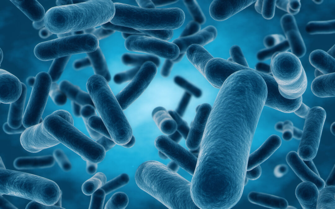 Schlafähnlicher Zustand von Bakterien analysiert