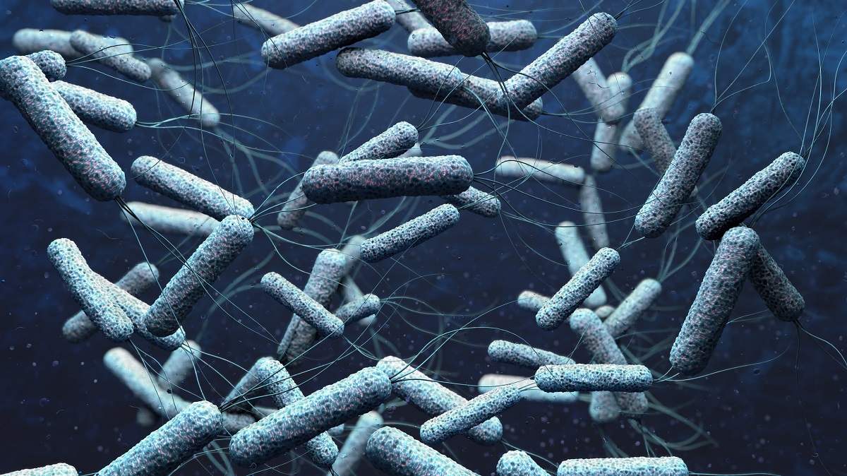 Molekül beeinflusst Resistenz von Cholera-Bakterien
