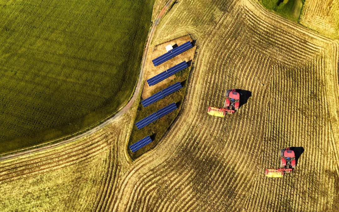 Sonnenenergie könnte die Landwirtschaft revolutionieren