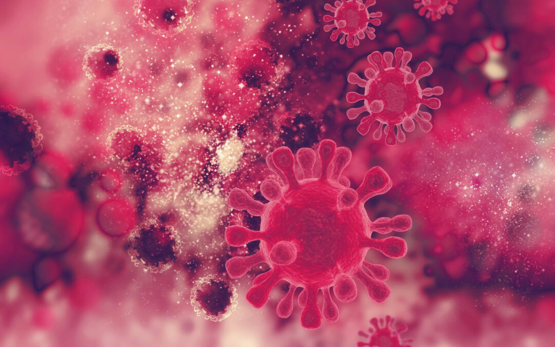 Neuer HIV-Antikörper bremst Virusvermehrung