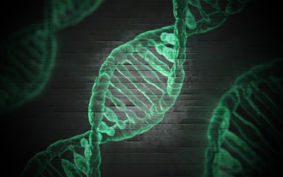Erforschung von DNA und RNA