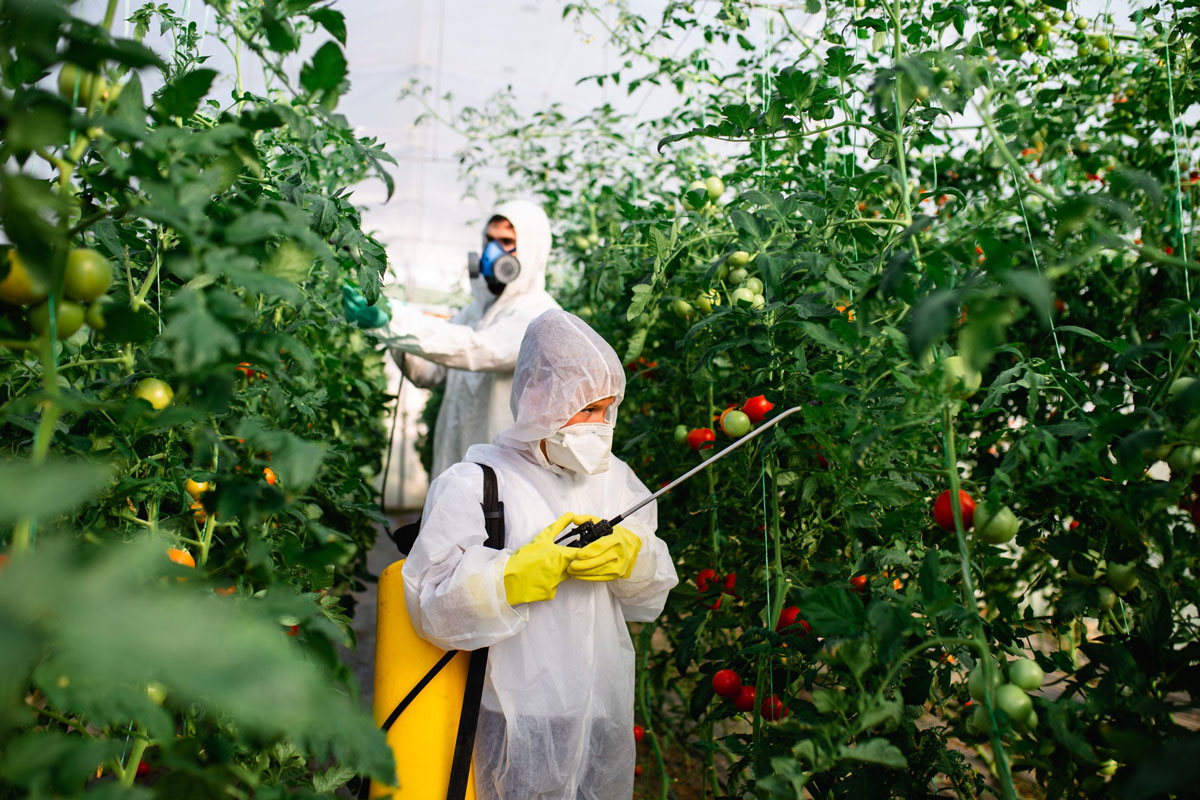 Sicherheit von Pestiziden auf dem Prüfstand