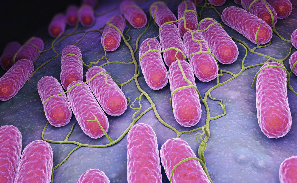 Infektionsgefahr durch Bakterien mindern