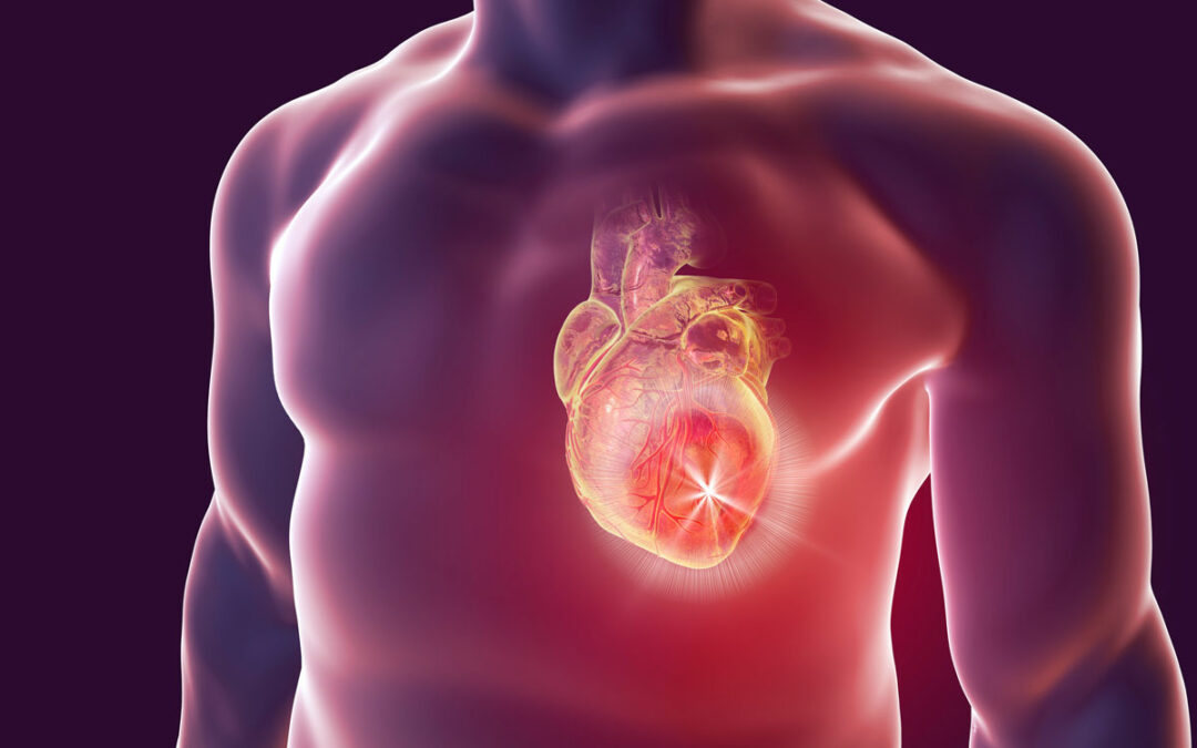 Überwachung der Herzregeneration auf Zellebene