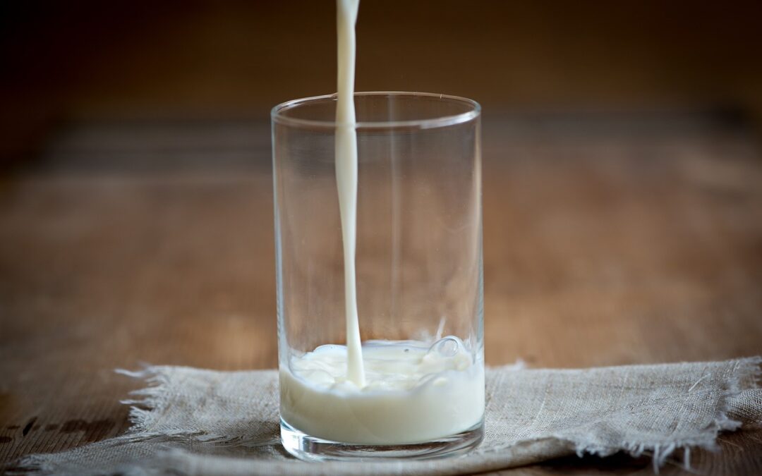 Milch-Protein und Retinsäure besänftigen Immunsystem