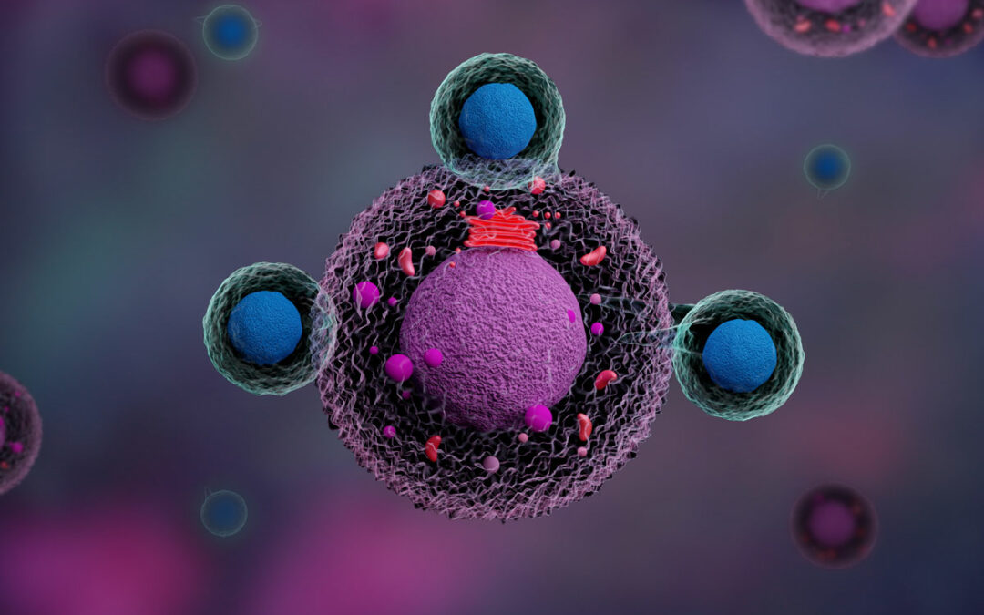 CAR-T-Zellen im Einsatz