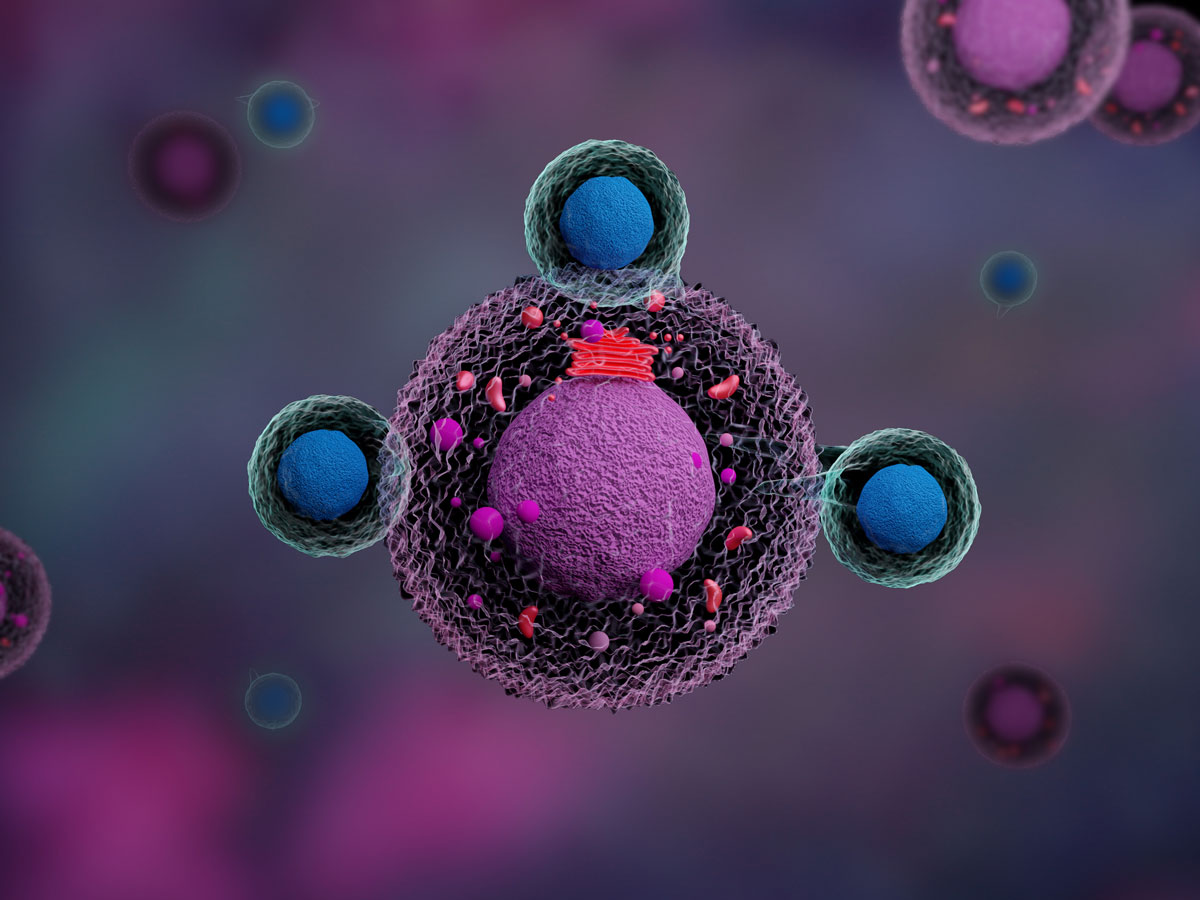 T-Zell-Rezeptoren im Kampf gegen Tumore