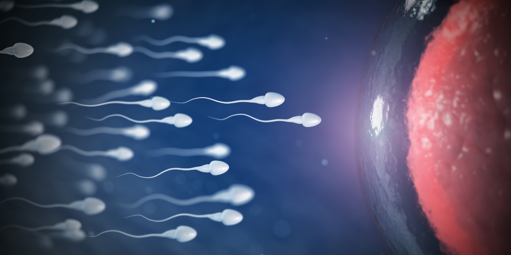 Sexuelle Übertragungsrate dank Sperma niedrig