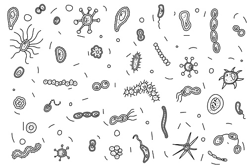 Bakterien-Datenbank frei zugänglich