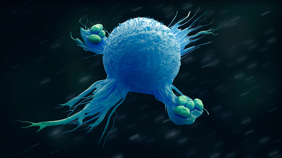 Immunmechanismus des Makrophagens