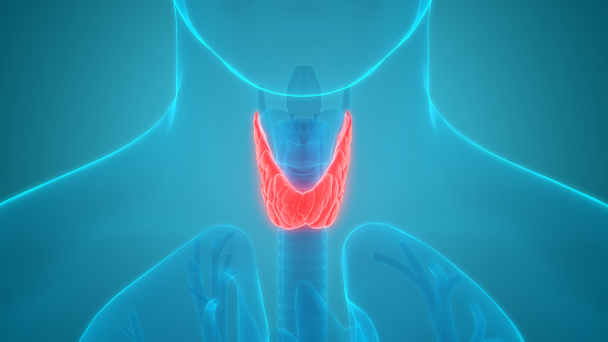 Therapieverfahren bei Mund-Rachen-Krebs untersucht