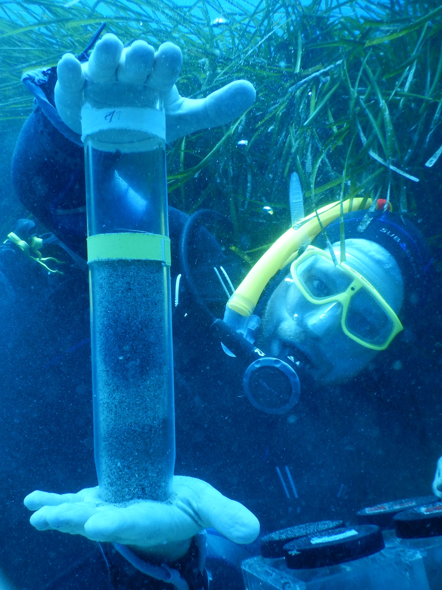 Mann unter Wasser hält Sedimentkerne in die Kamera © Manuel Kleiner