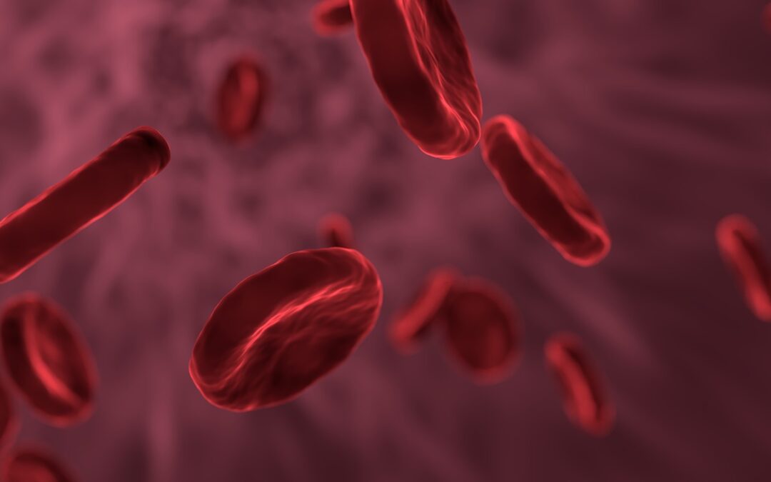Neue Einsichten in die genetische Regulation von Blutzellen