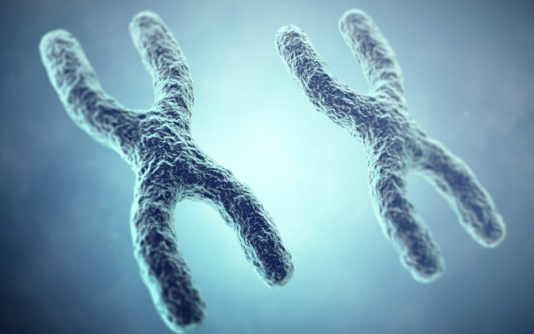 Protein bedingt Inaktivierung des X-Chromosoms