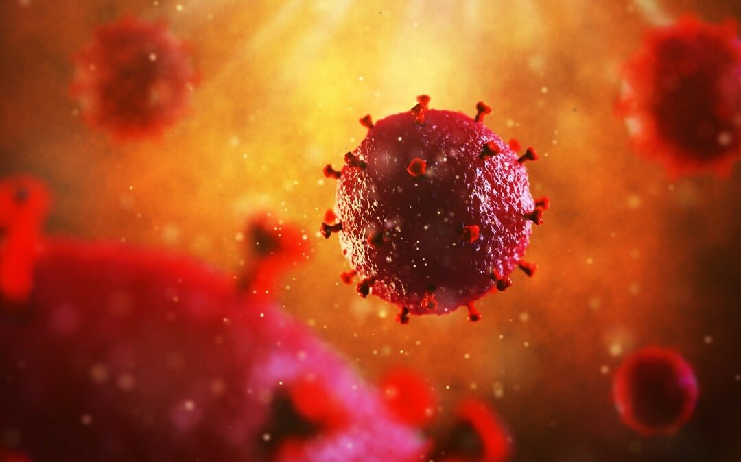 Einblicke in die Biologie besonderer Immunzellen