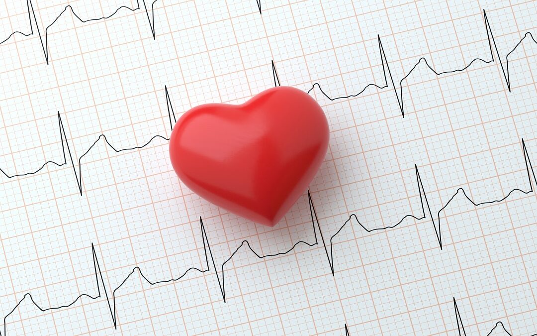 Neuer Wirkansatz bei Herzrhythmusstörungen entdeckt