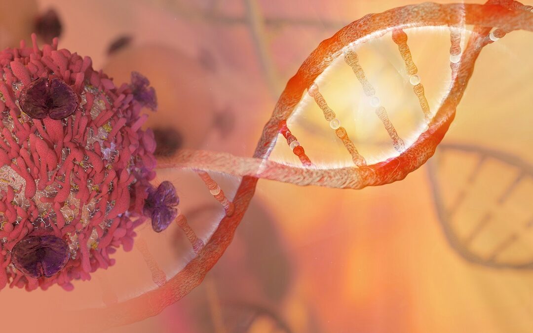 Mit DNA-Strukturen gezielt gegen Krebs vorgehen
