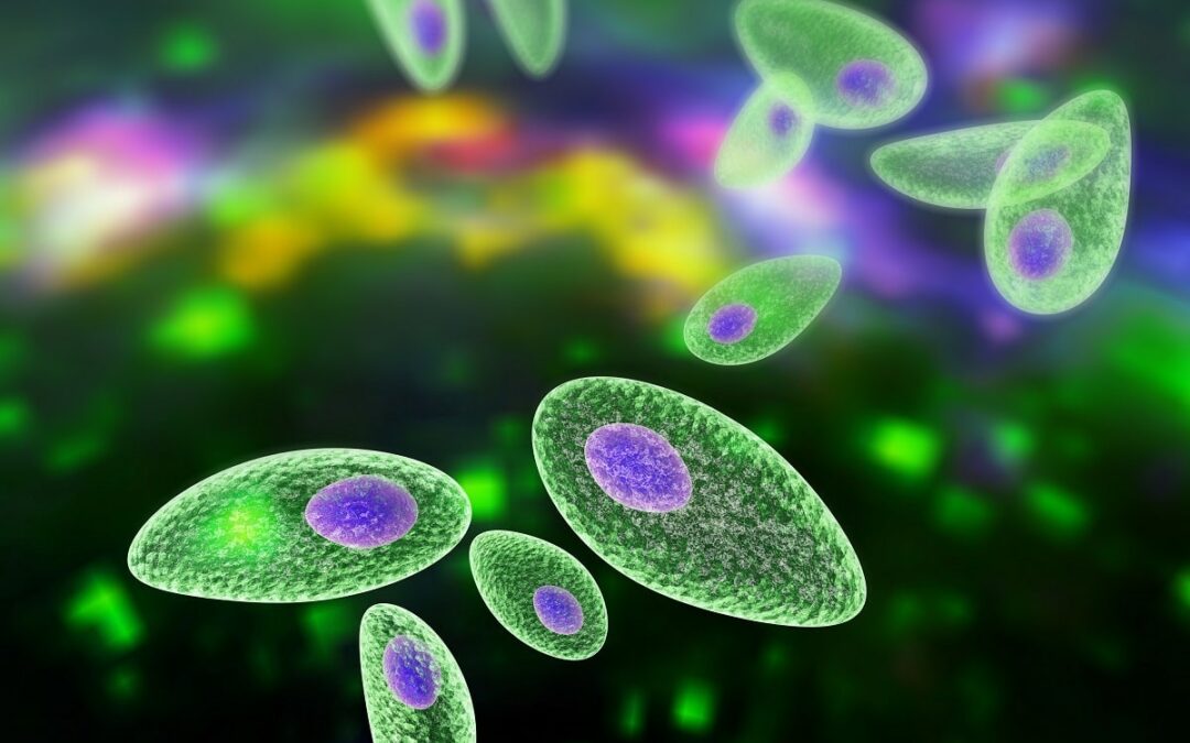 Erreger legen Abwehrmechanismen der Mitochondrien lahm