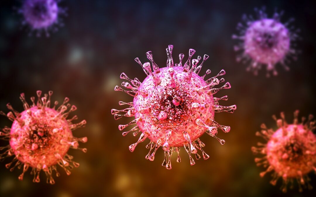 Herpesvirus fungiert als Helfer für Impfstoff