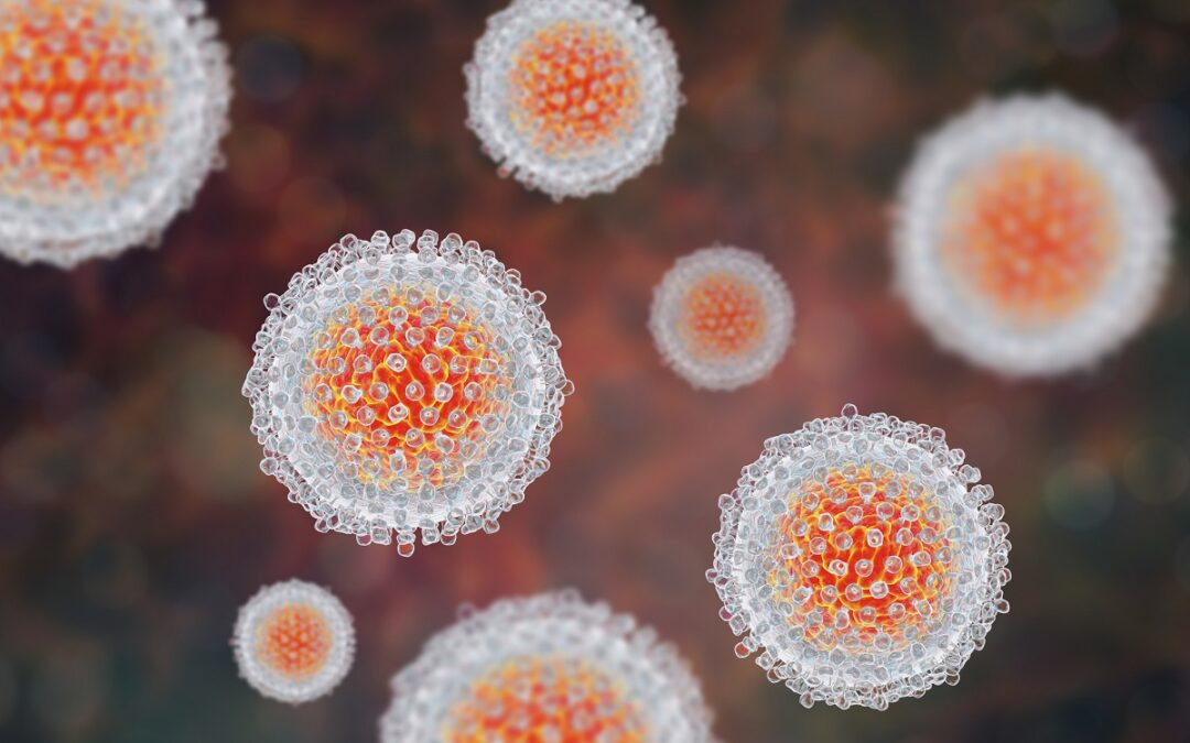 Immunantwort bei Hepatitis-C-Infektion untersucht