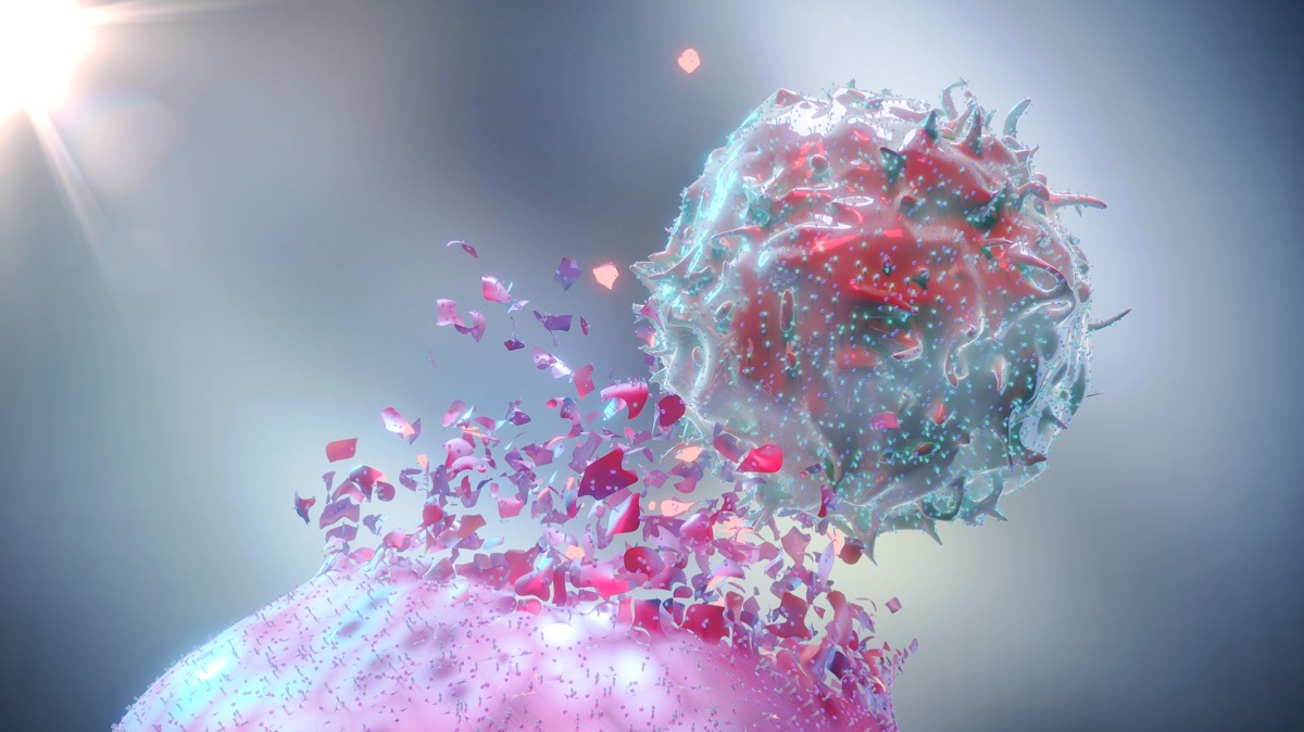 NK-Zelle zerstört Krebszelle.