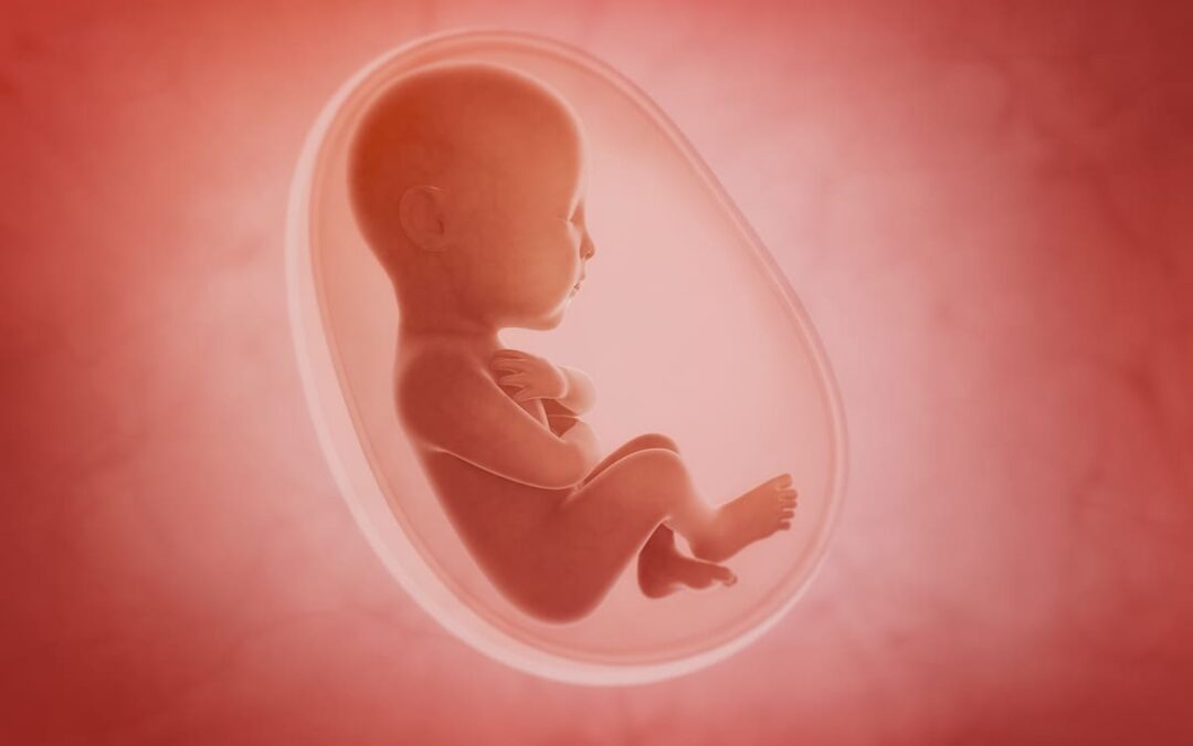 Wie zu viel Interferon sich auf Ungeborene auswirkt