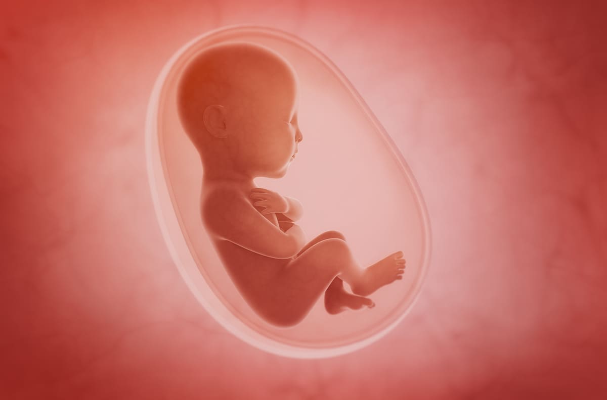 Ungeborenes Kind im Mutterleib.