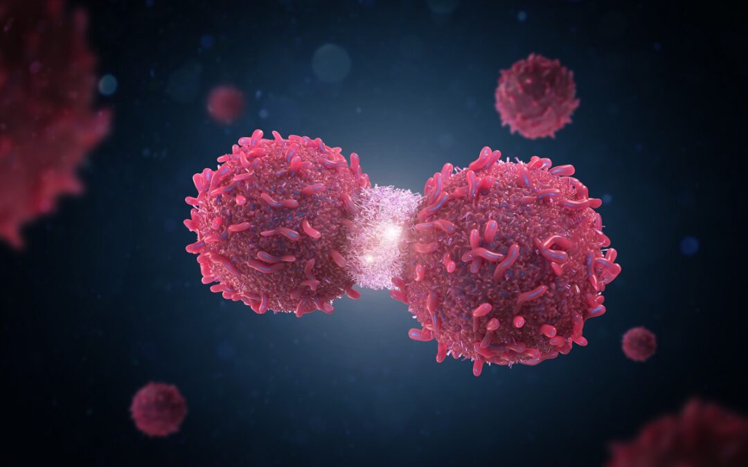 Protein verhindert Ausbreitung von Krebszellen
