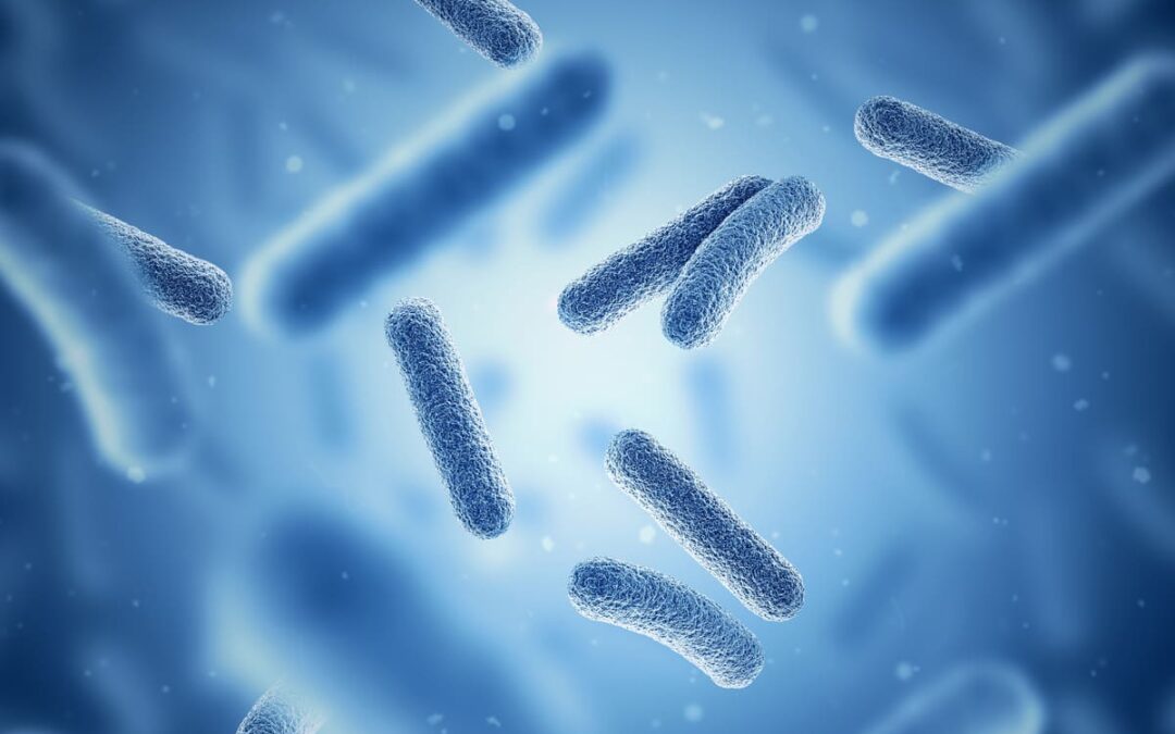 Neues Projekt zur Erforschung des Darm-Mikrobioms