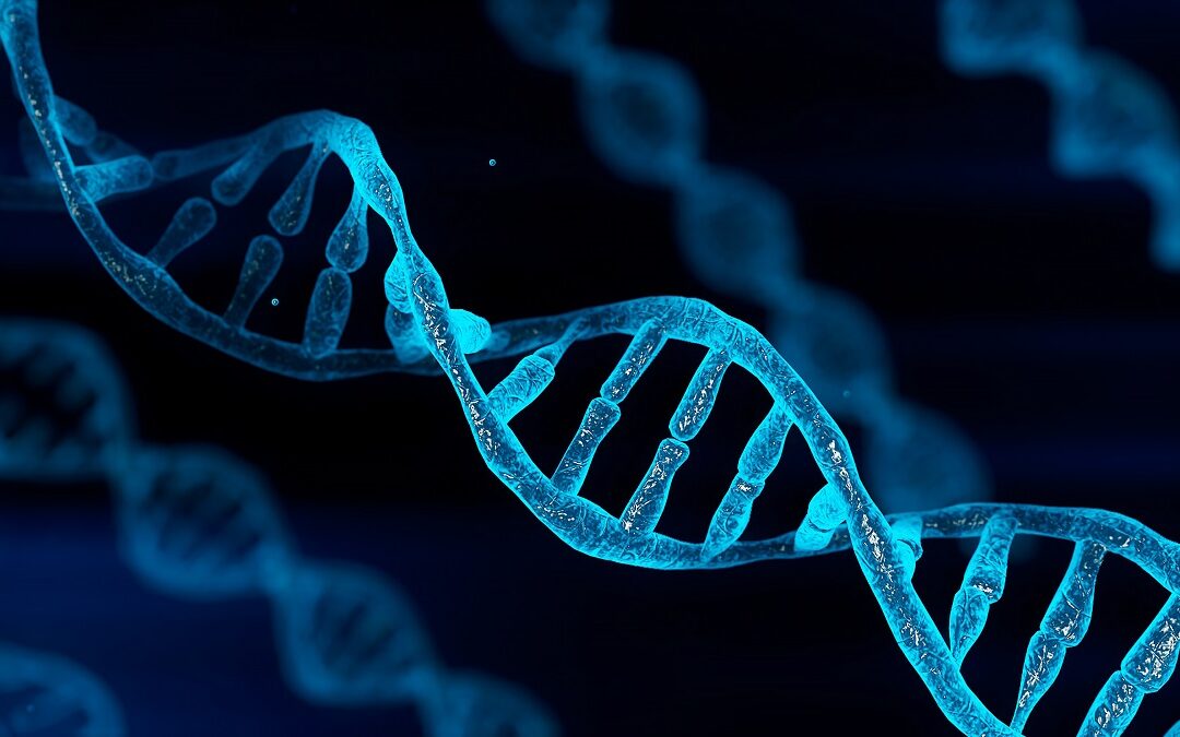 Algorithmus erkennt genetische Ursachen von Krankheiten