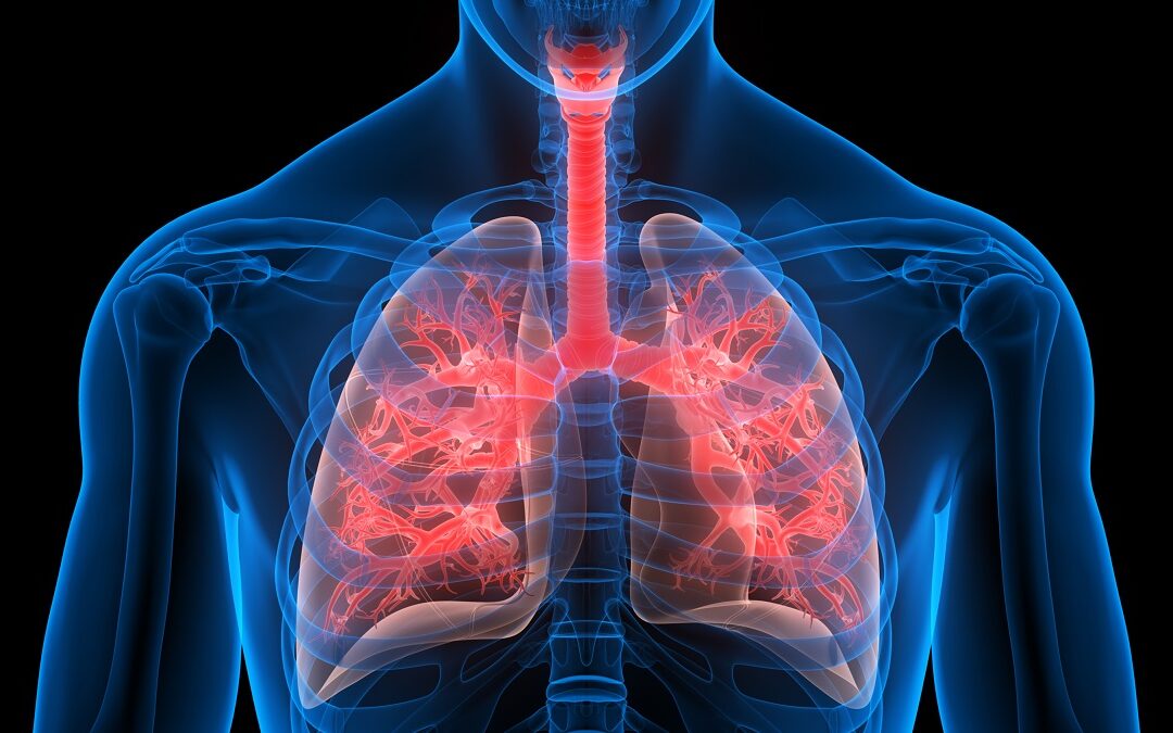 Neue Erkenntnisse zur menschlichen Immunität gegen Tuberkulose