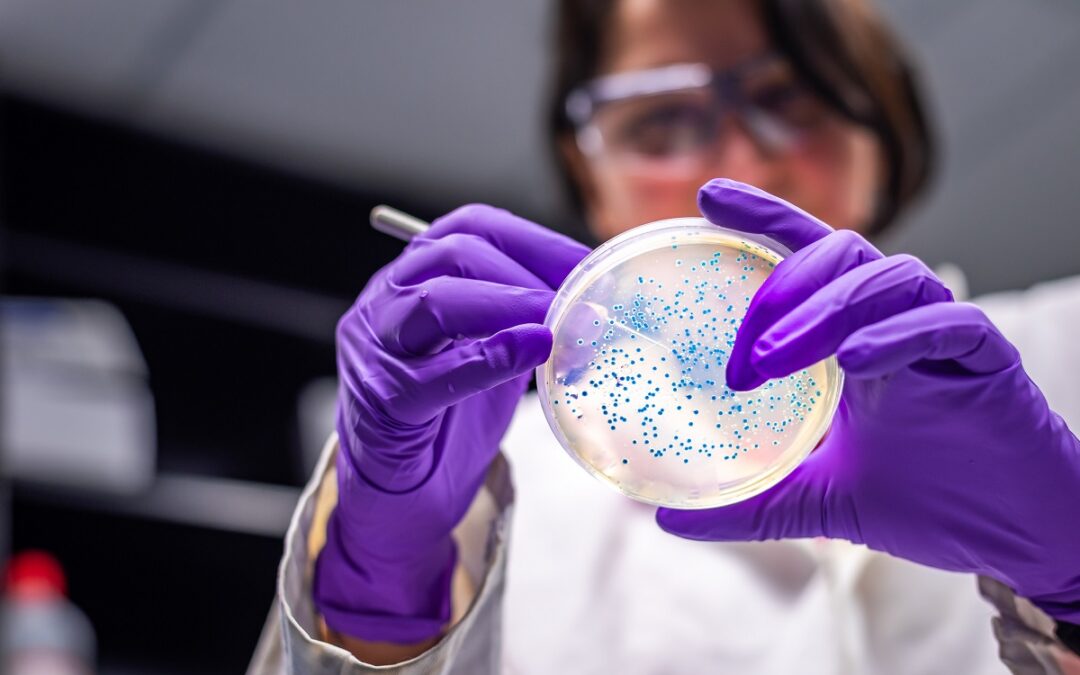 Bakterienpopulationen entwickeln unterschiedliche Antibiotikaresistenzen