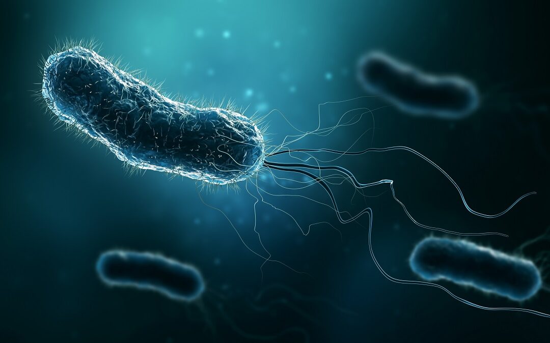 Identifizierte Substanzen hemmen Fortbewegungsfähigkeit von Bakterien