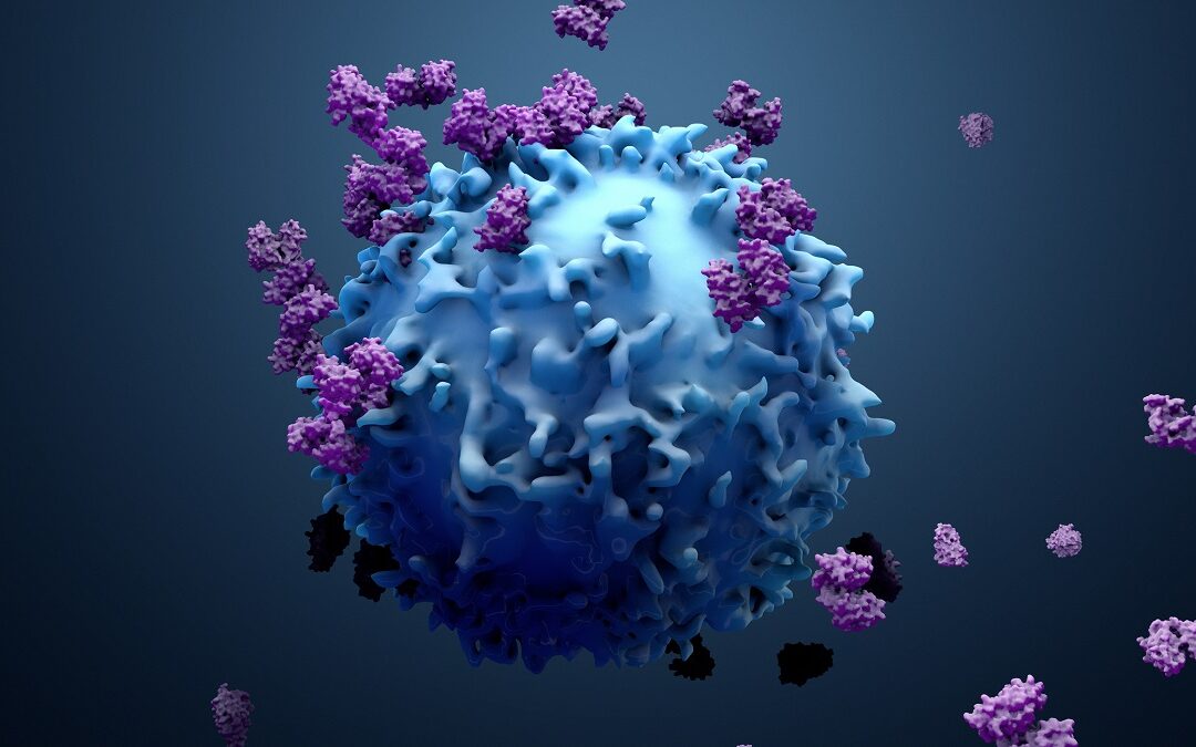 Immunzellen und ihr Kampf gegen Krankheitserreger und Krebs