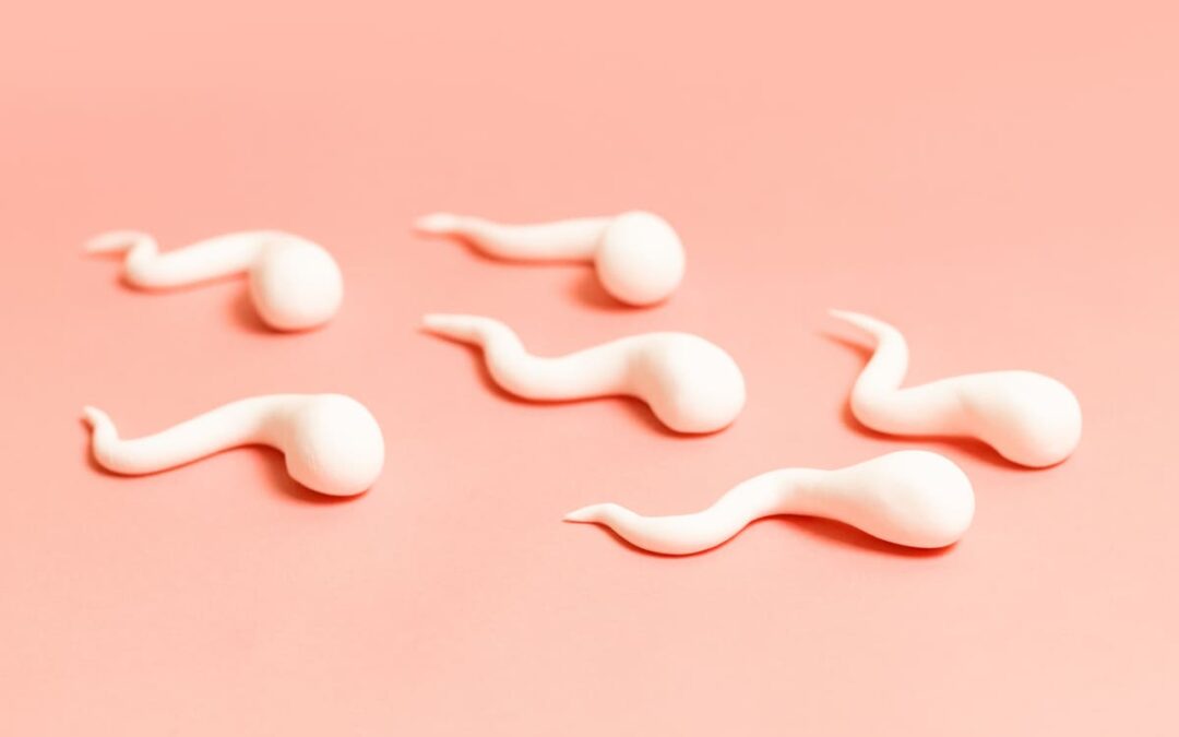 Wie Spermien sich vor oxidativem Stress schützen