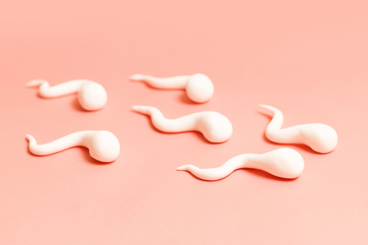 Symbolbild Spermienzellen.