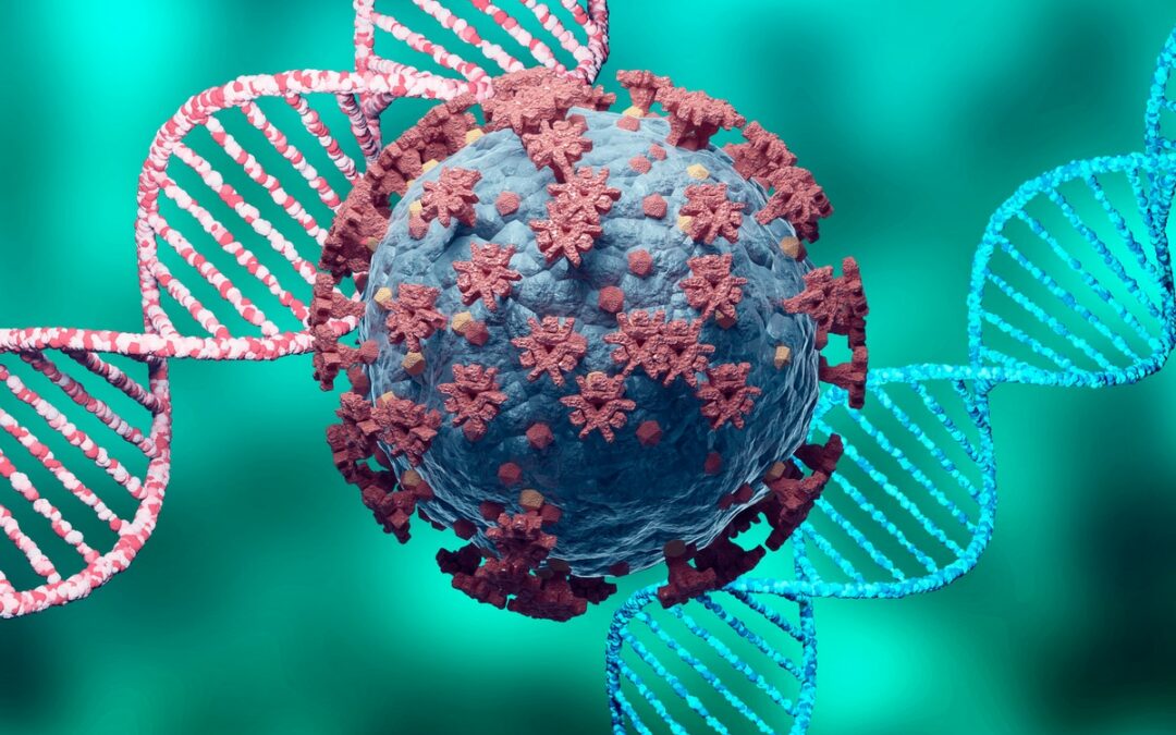 Rekonstruktion von Virus-Genomen verbessern
