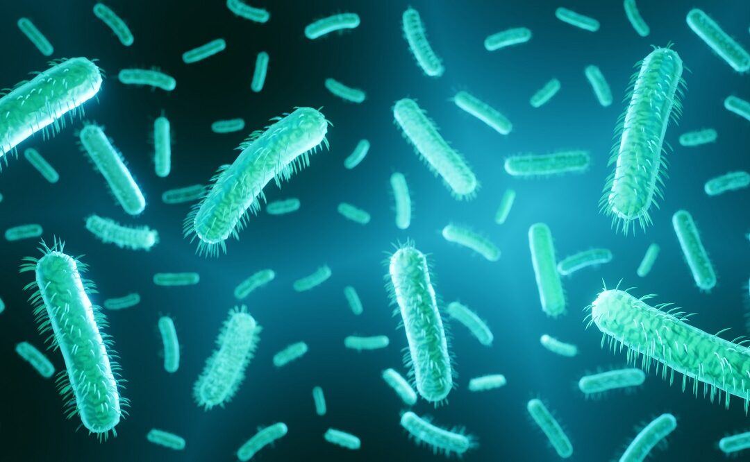 Suche nach Zusammenhang zwischen Bakteriengenen und Krankheitsschwere